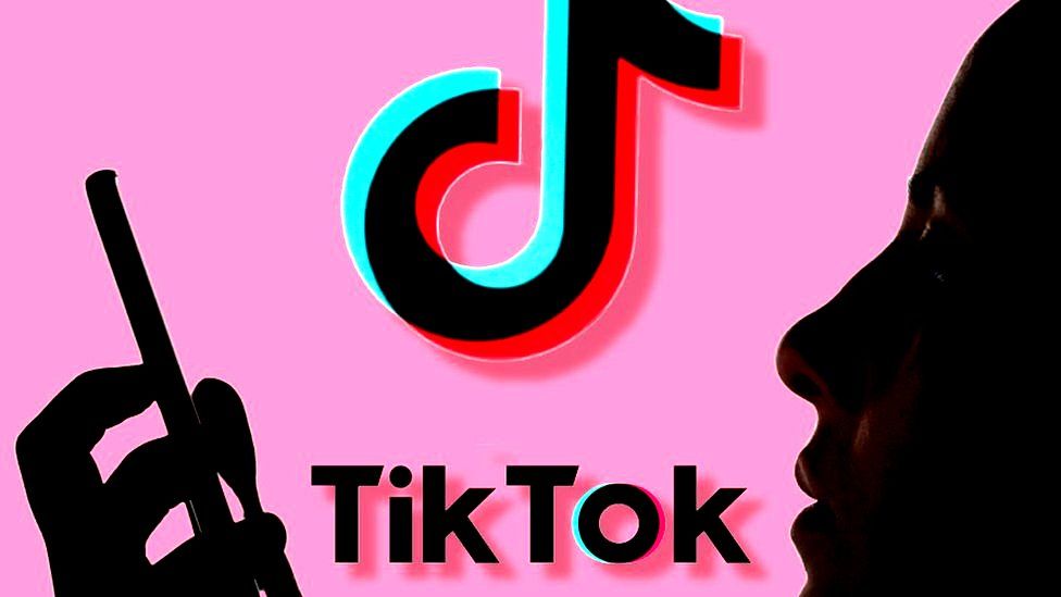 Tik Tok变现之宠物号的另类变现手法，现在做tiktok宠物账号还行吗